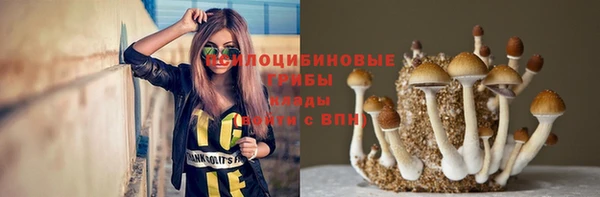 прущий лед Балахна